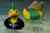 Quacky Races