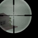Intricate sniper shooting game - zoom in and get that head shot!